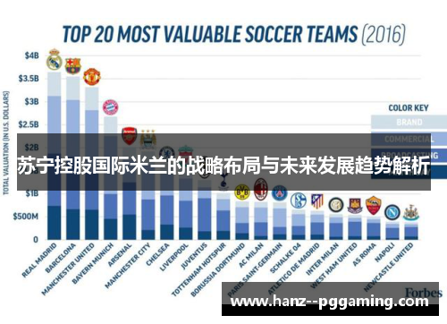 苏宁控股国际米兰的战略布局与未来发展趋势解析 苏宁控股国际米兰的战略布局与未来发展趋势解析