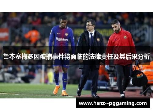 鲁本塞梅多因被捕事件将面临的法律责任及其后果分析