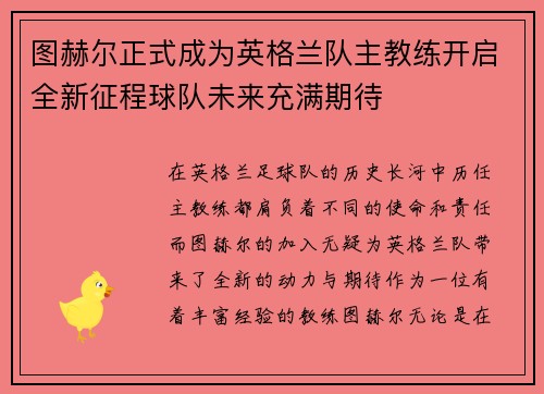 图赫尔正式成为英格兰队主教练开启全新征程球队未来充满期待
